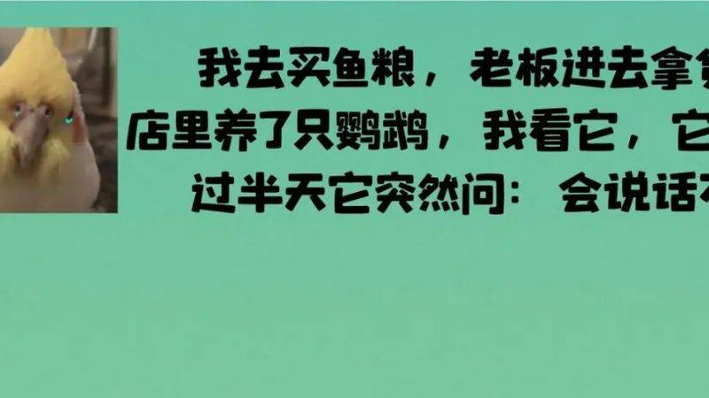云南火锅底料500克与1千克价格差异揭秘