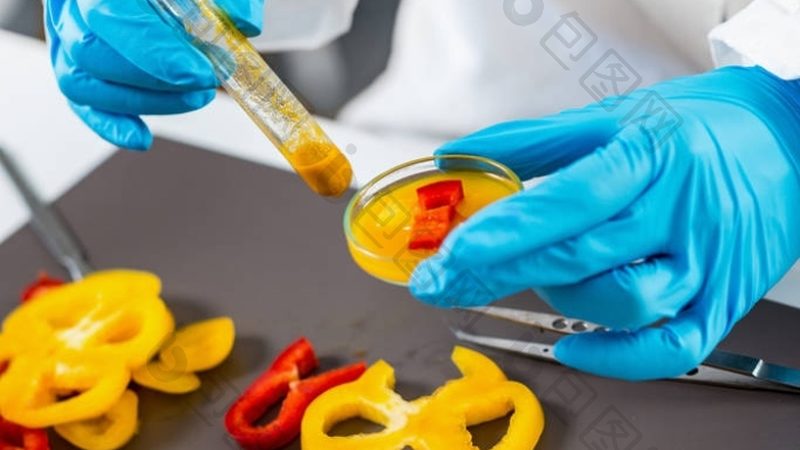 无糖充饥小饼干推荐办公室